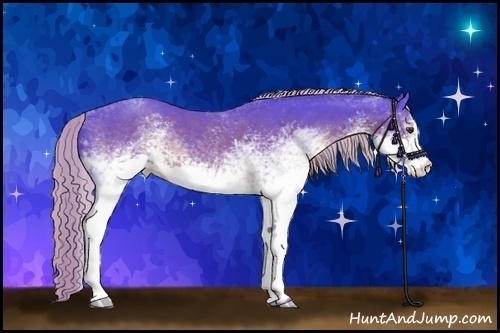 Horse Color:Watercolor White Spotted Liver Chestnut Sabino 