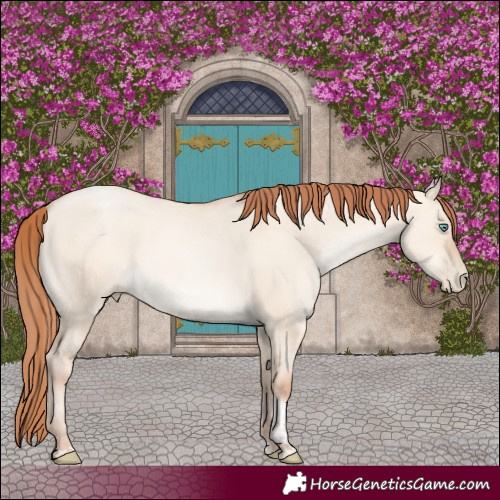 Horse Color:Sable Champagne Pearl Dun Tobiano 