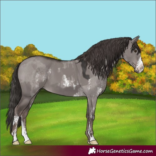 Horse Color:Platinum Liver Red Dun Sabino and Platinum Liver Red Dun Sabino