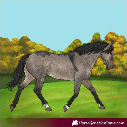 Horse Color:Brown Dun Mushroom 