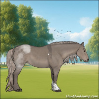 Horse Color:Silver Grullo Sabino Tobiano 