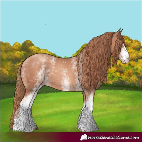 Horse Color:White Spotted Gold Champagne 