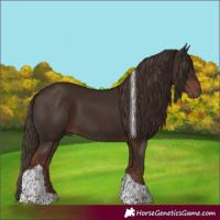 Horse Color:Liver Chestnut Tobiano 