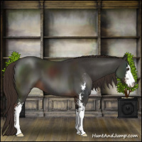 Horse Color:Liver Chestnut Sabino 