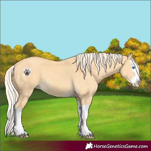Horse Color:Palomino Dun Splash 