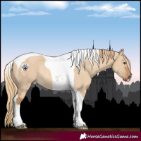 Horse Color:Red Dun Tobiano Rabicano