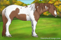 Horse Color:Chestnut Tobiano
