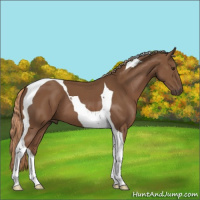 Horse Color:Chestnut Tobiano