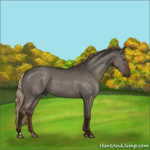 Horse Color:Liver Red Dun