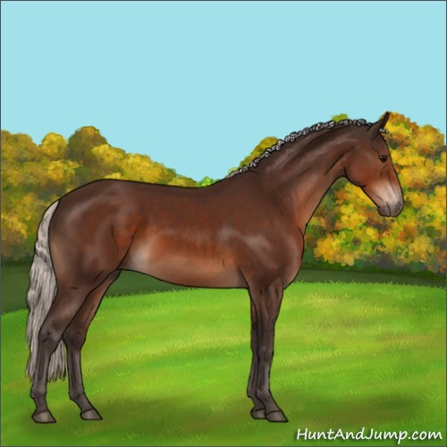 Horse Color:Silver Brown 