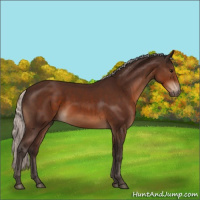 Horse Color:Silver Brown 