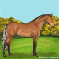 Horse Color:Silver Buckskin 