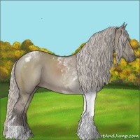 Horse Color:Silver Grullo Tobiano 