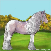 Horse Color:Watercolor Silver Grullo Tobiano 