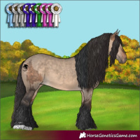 Horse Color:Brown Dun  and Brown Dun 