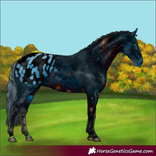 Horse Color:ERROR: UNKNOWN ANOMALY