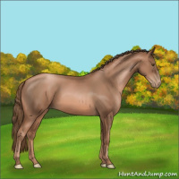 Horse Color:Liver Chestnut Pearl 