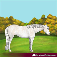 Horse Color:Cremello Sabino  and Cremello Sabino 