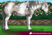 Horse Color:White Spotted Blue Onyx 