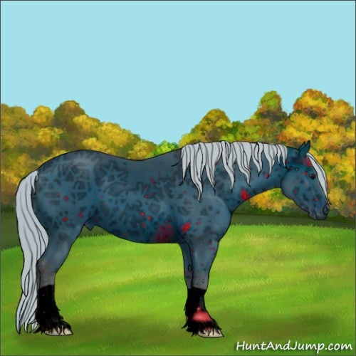 Horse Color:ERROR: UNKNOWN ANOMALY