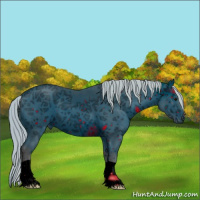 Horse Color:ERROR: UNKNOWN ANOMALY