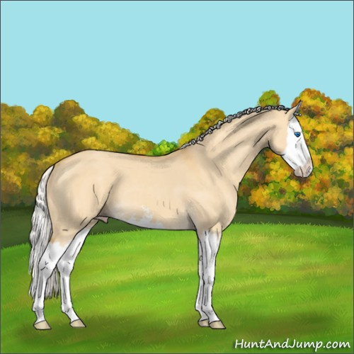 Horse Color:Silver Classic Cream Champagne Dun Sabino Splash 