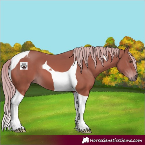 Horse Color:Chestnut Tobiano 