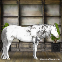 Horse Color:Smoky Black Sabino 