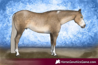 Horse Color:Gray Silver Black Snowdrop Pearl Sabino Tobiano 