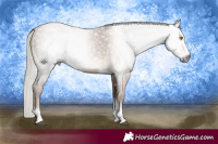 Horse Color:Gray Silver Black Pearl Sabino Tobiano 