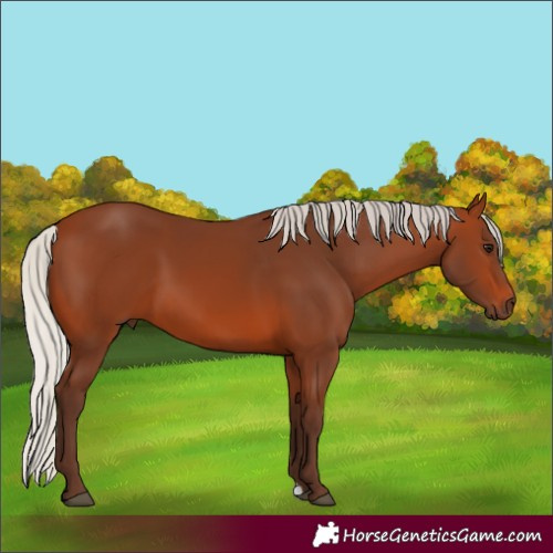 Horse Color:Silver Brown 