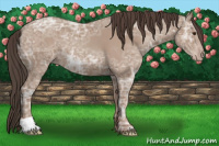 Horse Color:Classic Champagne Ice 