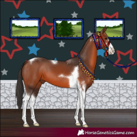 Horse Color:Bay Sabino Tobiano 