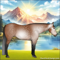 Horse Color:Gray Bay 