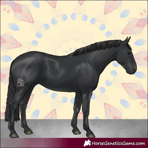 Horse Color:Black 