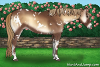 Horse Color:White Spotted Red Onyx 