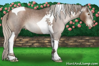 Horse Color:Gray Silver Blue Roan Pearl Tobiano