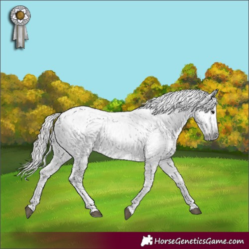 Horse Color:Gray Bay Tobiano Near Leopard 