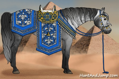 Horse Color:Gray Black 