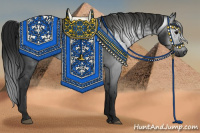 Horse Color:Gray Black