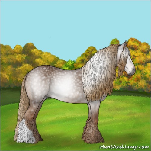 Horse Color:Gray Chestnut 