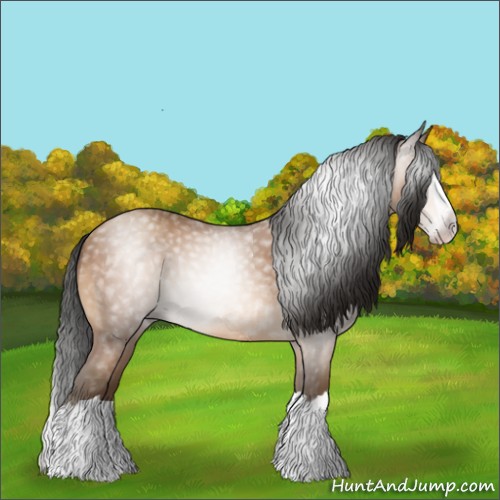 Horse Color:Gray Amber Champagne Splash 