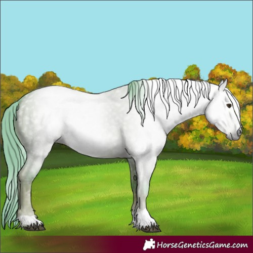Horse Color:Gray Watercolor Red Dun