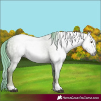 Horse Color:Gray Watercolor Red Dun 