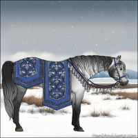 Horse Color:Gray Black 