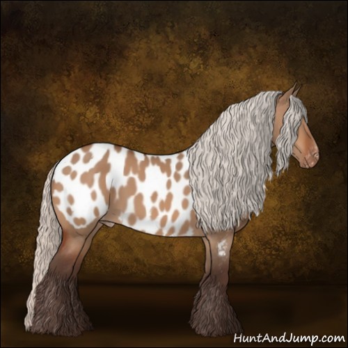 Horse Color:Silver Brown Dun Appaloosa