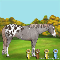 Horse Color:Liver Chestnut Sabino Splash Appaloosa  and Liver Chestnut Sabino Splash Appaloosa 