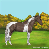 Horse Color:Silver Black Tobiano