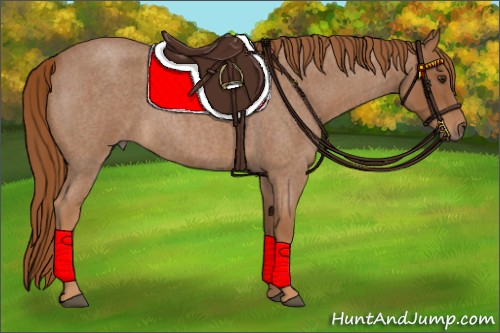 Horse Color:Red Roan 