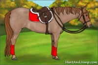 Horse Color:Red Roan